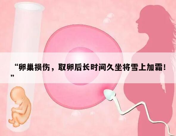 卵巢损伤,取卵后长时间久坐将雪上加霜!