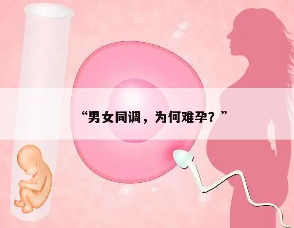 男女同调,为何难孕?