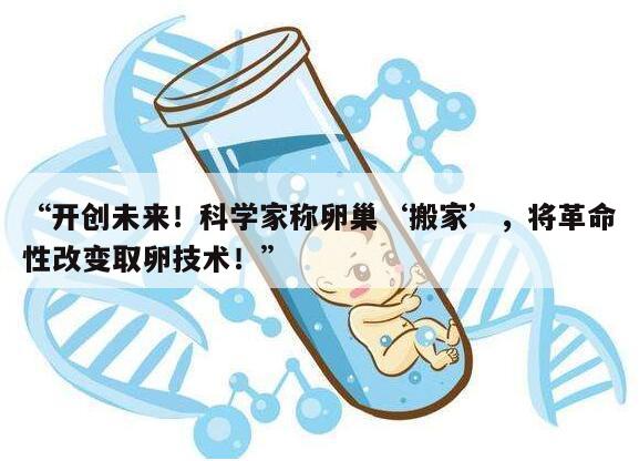 卵巢在子宫上面可以取卵吗?