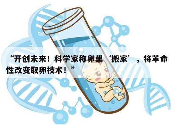 卵巢在子宫上面可以取卵吗？