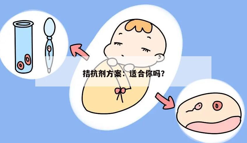 拮抗剂方案：适合你吗？