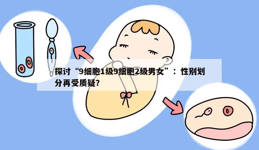 “9细胞1级9细胞2级男女”：性别划分再受质疑？