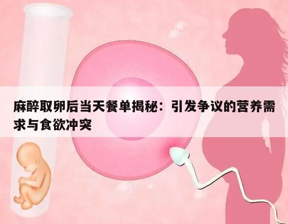 麻醉取卵后当天餐单揭秘:引发争议的营养需求与食欲冲突