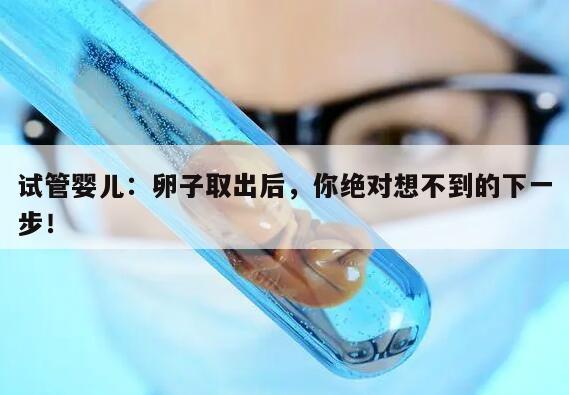 试管婴儿取卵后的后续步骤