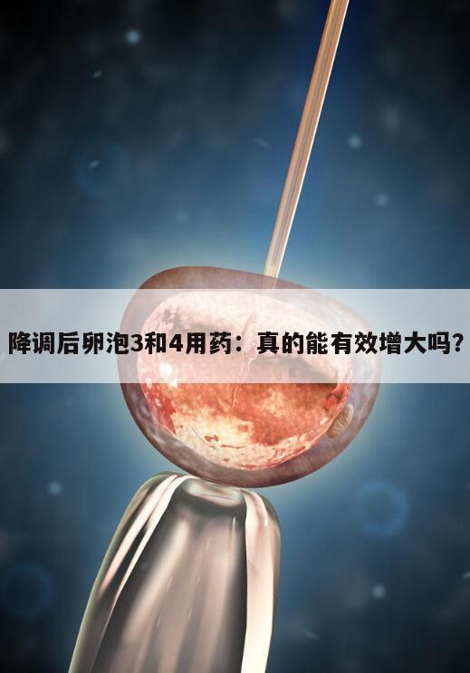 降调后卵泡3和4用药:真的能有效增大吗?