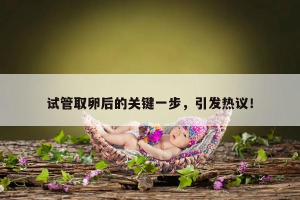 试管取卵后的关键一步,引发热议!