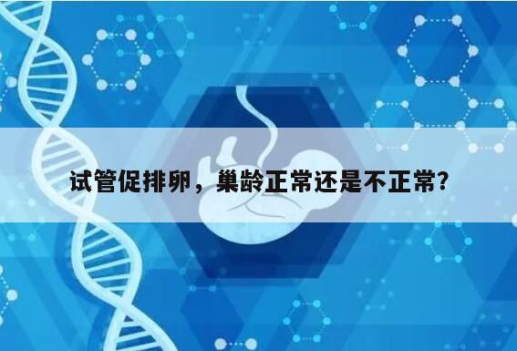 试管促排卵，巢龄正常还是不正常？