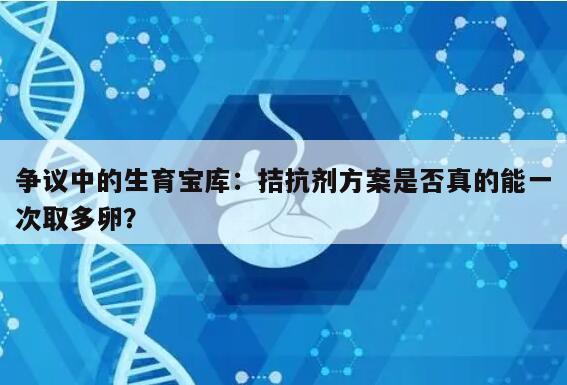 争议中的生育宝库：拮抗剂方案是否真的能一次取多卵？