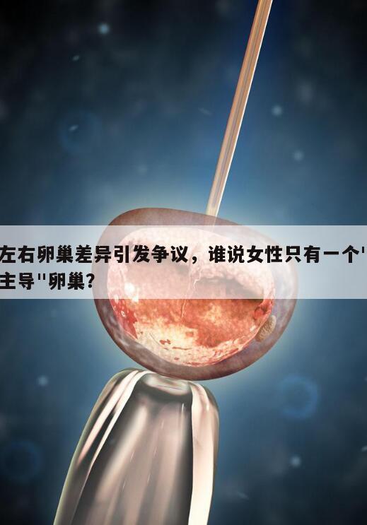 左右卵巢差异引发争议，谁说女性只有一个"主导"卵巢？