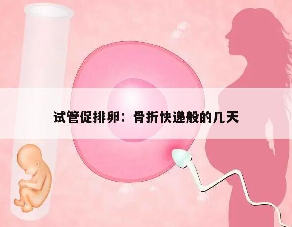试管促排卵:骨折快递般的几天