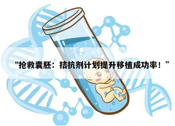 拮抗剂方案在移植囊胚成功率中的作用