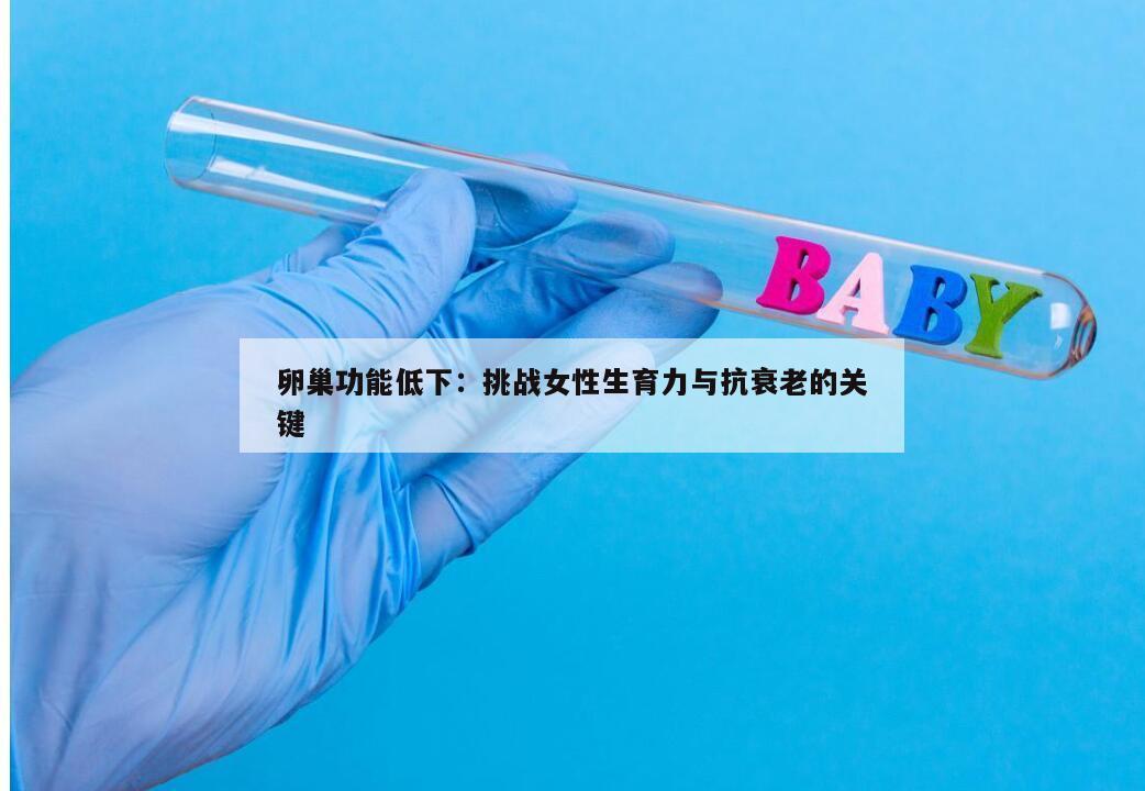 卵巢功能低下：挑战女性生育力与抗衰老的关键