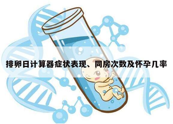排卵日计算器症状表现、同房次数及怀孕几率