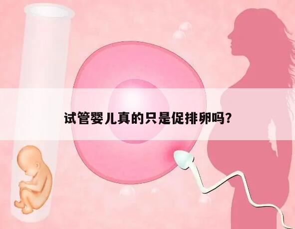 试管婴儿真的只是促排卵吗?