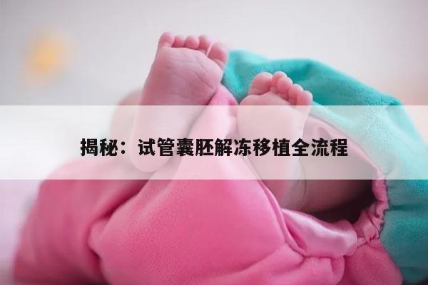 揭秘:试管囊胚解冻移植全流程