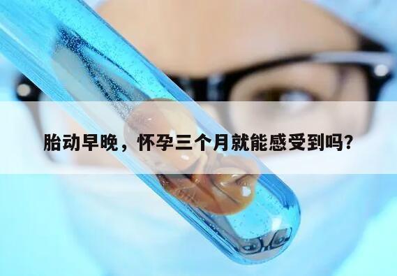怀孕三个月能感觉到胎动吗?