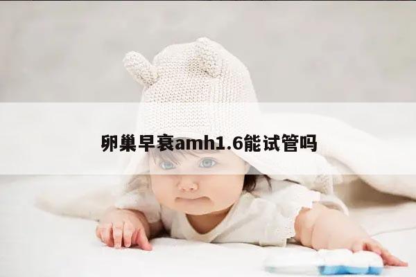 卵巢早衰与AMH 1.6：试管婴儿是否可行