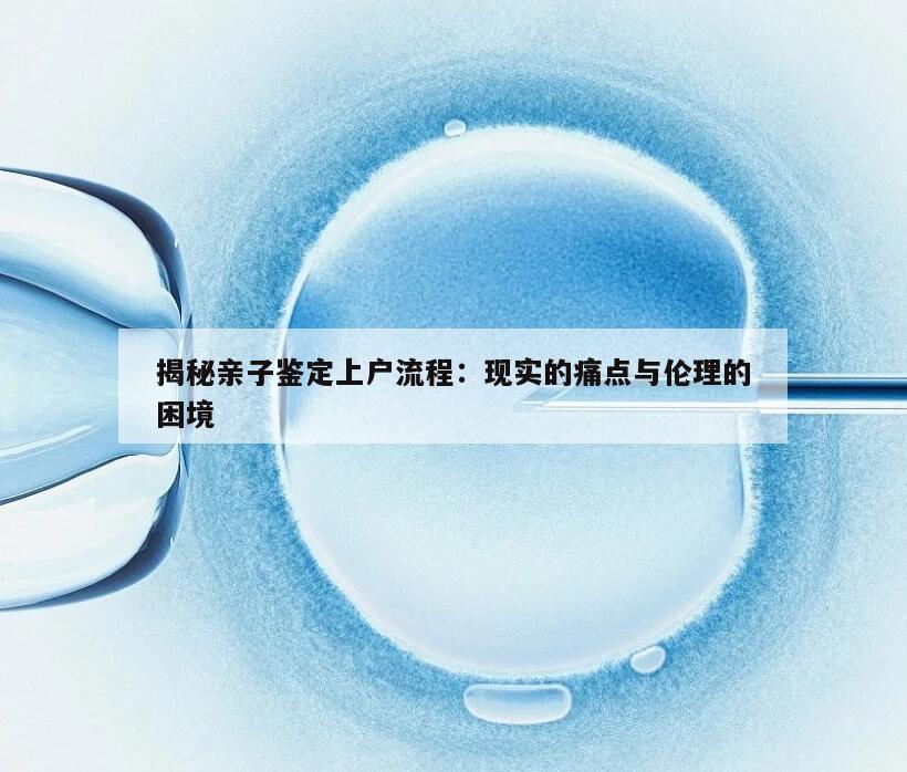 揭秘亲子鉴定上户流程：现实的痛点与伦理的困境