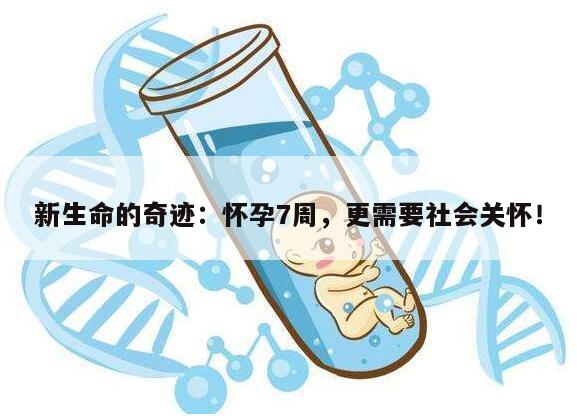 怀孕7周了,宝宝的成长和母亲的身体变化