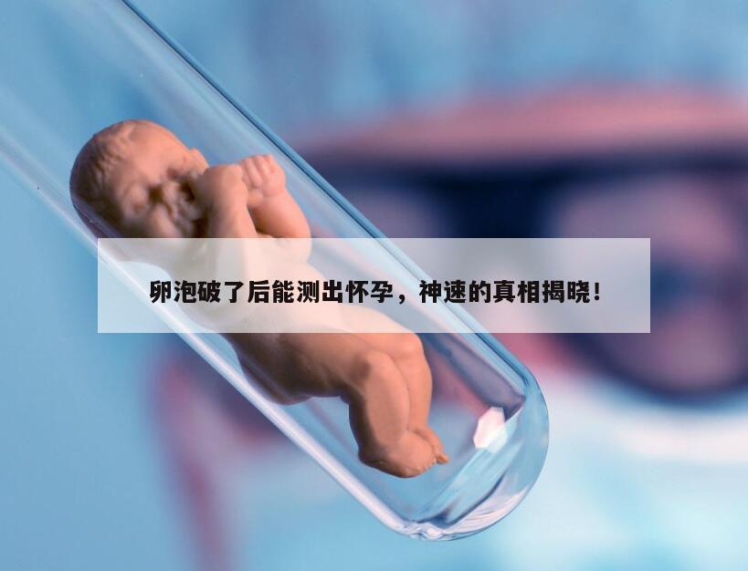 卵泡破了最快什么时候可以测出怀孕？