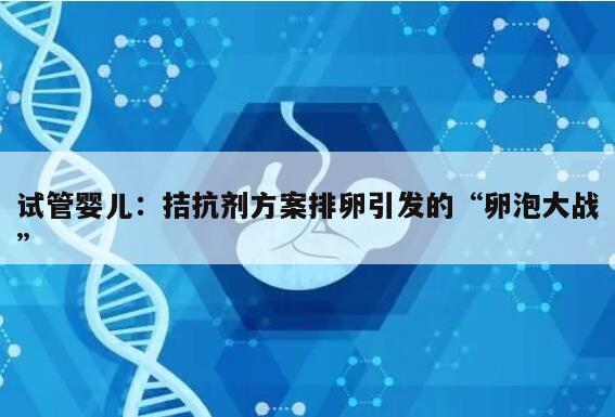 试管婴儿:拮抗剂方案排卵引发的“卵泡大战”
