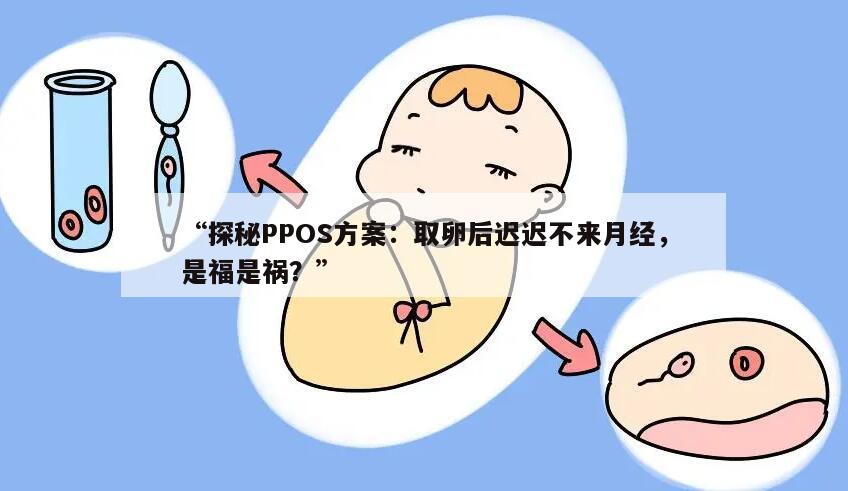 PPOS方案取卵后多久来月经