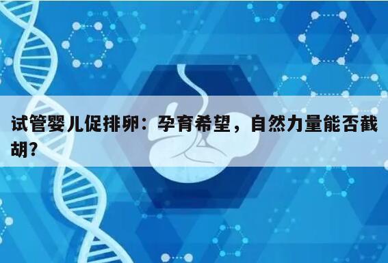 试管婴儿促排卵会不会自己排掉