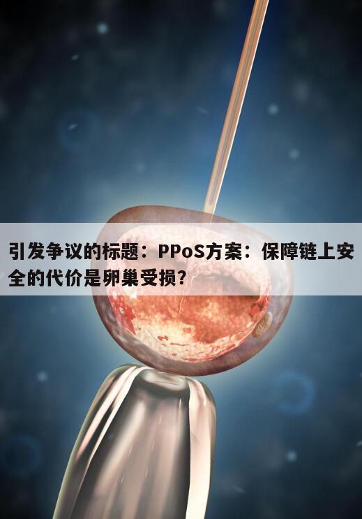 PPoS方案：保障链上安全的代价是卵巢受损？