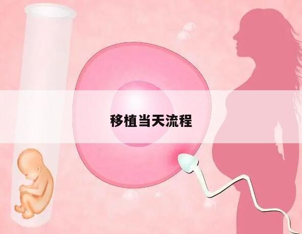 移植当天流程是怎样的?