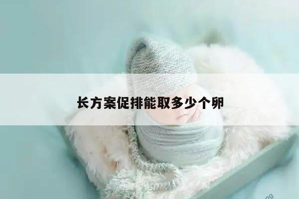 长方案促排能取多少个卵?