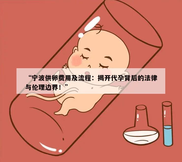 宁波供卵费用及流程:揭开代孕背后的法律与伦理边界!