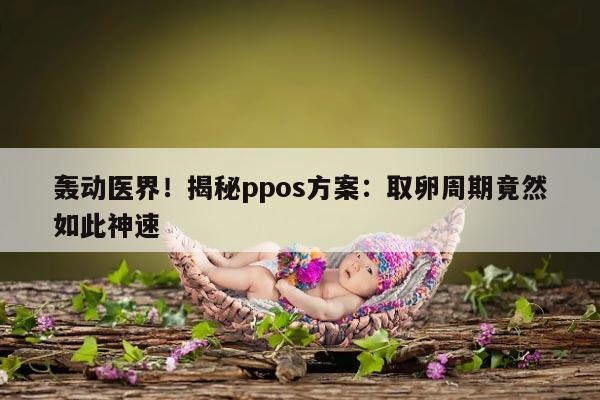 揭秘ppos方案：取卵周期竟然如此神速