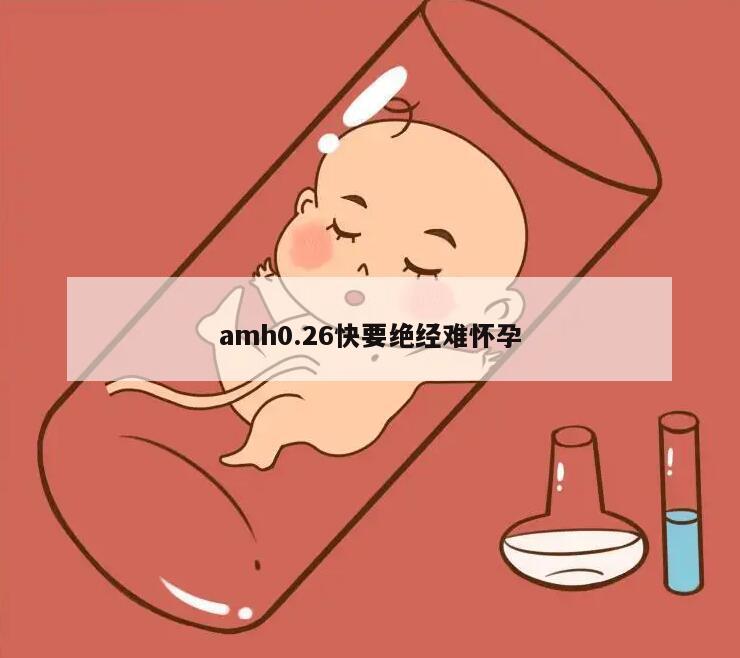 AMH0.26快要绝经难怀孕