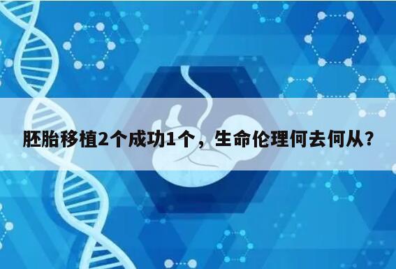 胚胎移植2个成功1个,生命伦理何去何从?