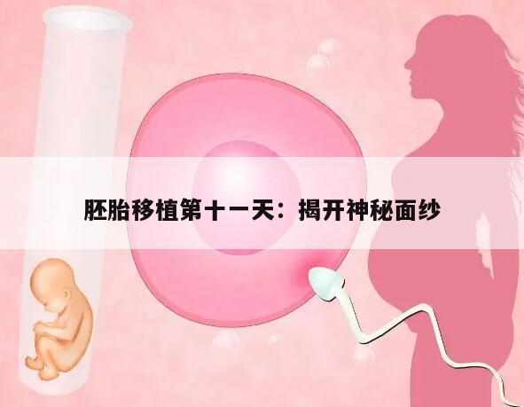 胚胎移植第十一天能测出来吗?