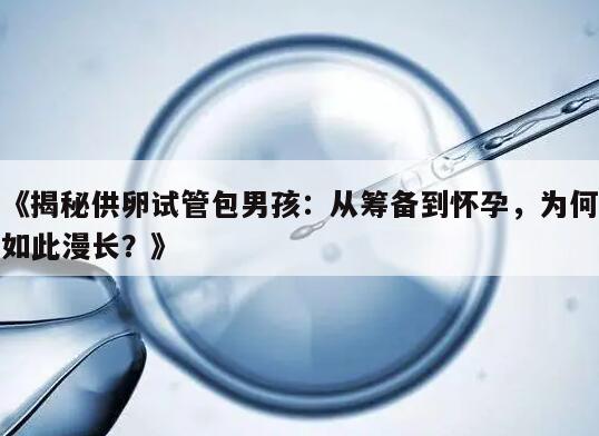 揭秘供卵试管包男孩：从筹备到怀孕为何如此漫长？