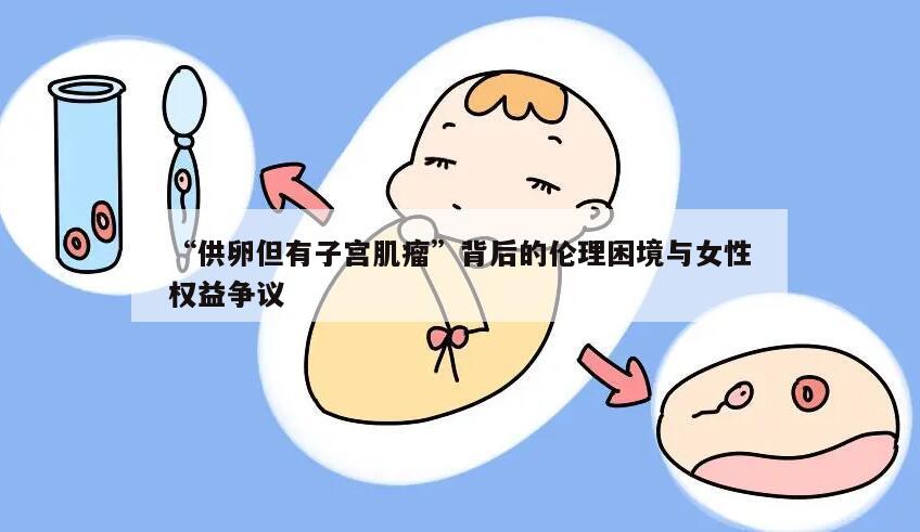 “供卵但有子宫肌瘤”背后的伦理困境与女性权益争议