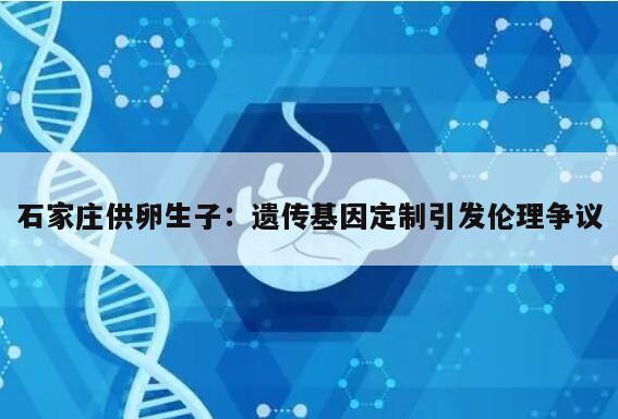 石家庄供卵生子流程详解