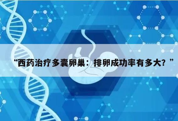西药治疗多囊卵巢:排卵成功率有多大?