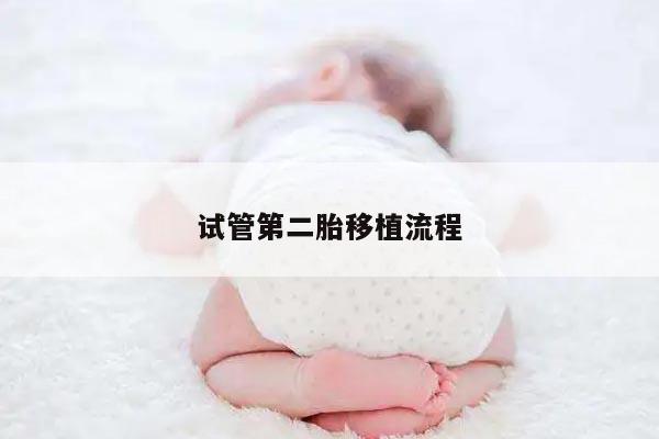 试管第二胎移植流程