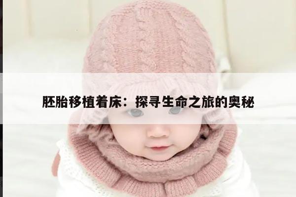 胚胎移植着床:探寻生命之旅的奥秘