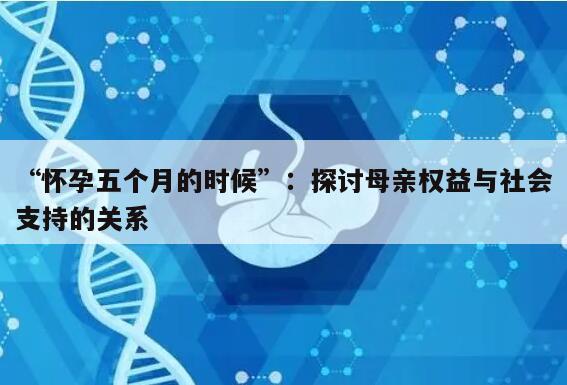 “怀孕五个月的时候”：探讨母亲权益与社会支持的关系