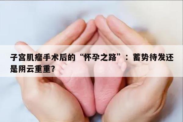 子宫肌瘤手术后的“怀孕之路”：蓄势待发还是阴云重重？