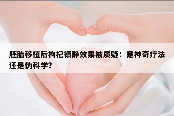 胚胎移植后枸杞镇静效果被质疑:是神奇疗法还是伪科学?