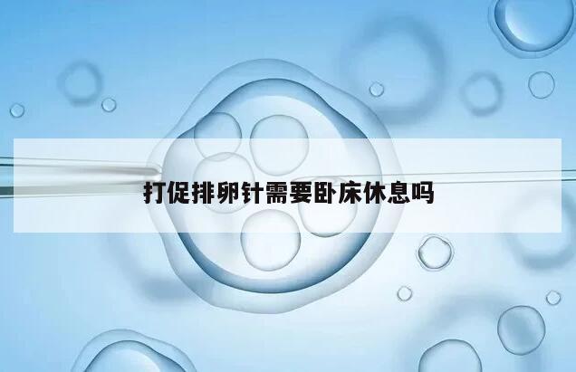 打促排卵针是否需要卧床休息?