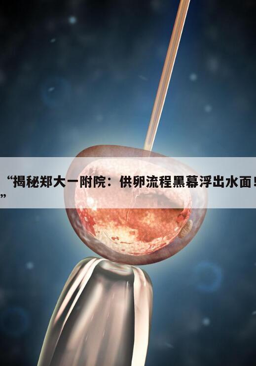 揭秘郑大一附院:供卵流程黑幕浮出水面!