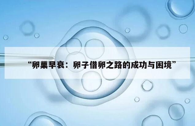 卵巢早衰:卵子借卵之路的成功与困境