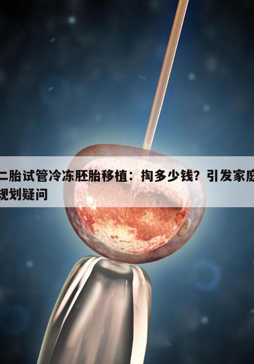 二胎试管冷冻胚胎移植费用多少钱?