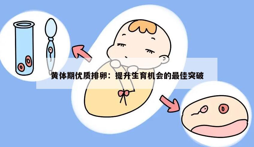 黄体期优质排卵:提升生育机会的最佳突破