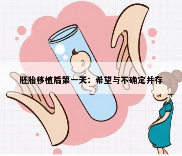 胚胎移植后第一天：希望与不确定并存